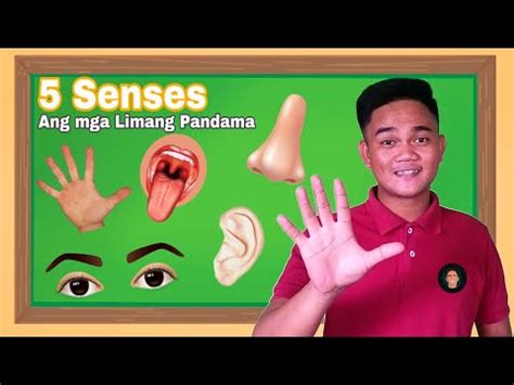 touch tagalog|Ang Limang Pandama (The Five Senses) .